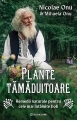 Plante tămăduitoare