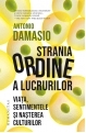 Strania ordine a lucrurilor
