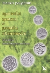 Spiritele naturii si fiintele elementale