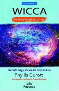 WiCCA pe intelesul tuturor