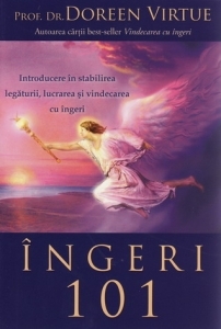 Ingeri 101